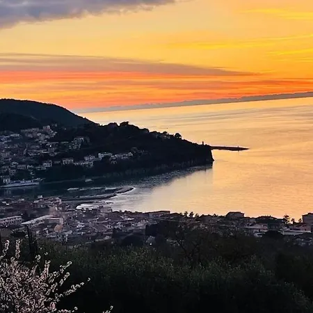 Cilento Antonucci