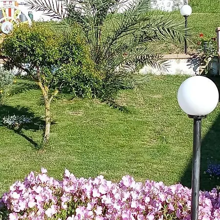 Cilento Antonucci *