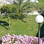 Cilento Antonucci *